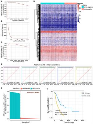 Prognostic and Predictive Value of Three DNA Methylation Signatures in Lung Adenocarcinoma